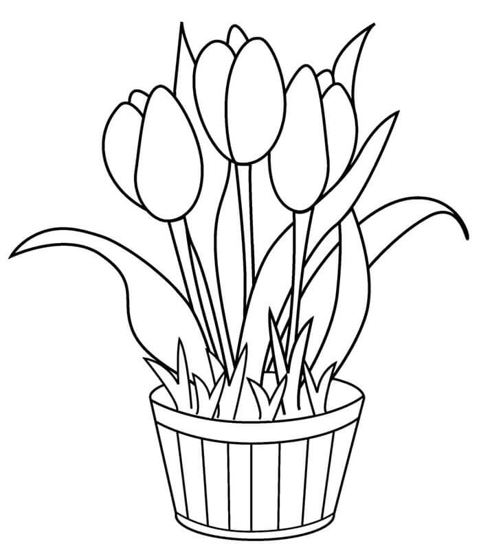 Tulipán k Tisku omalovánka
