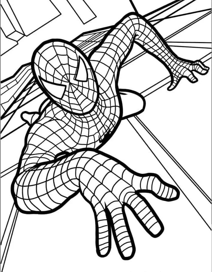 Úžasný Spiderman omalovánka
