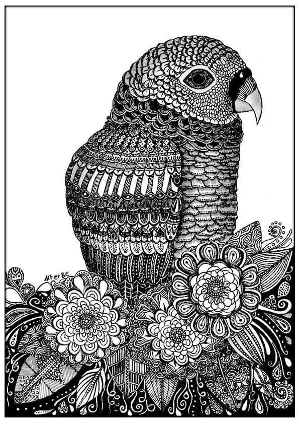 Úžasný Zentangle omalovánka