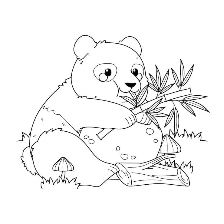 Velká Panda omalovánka