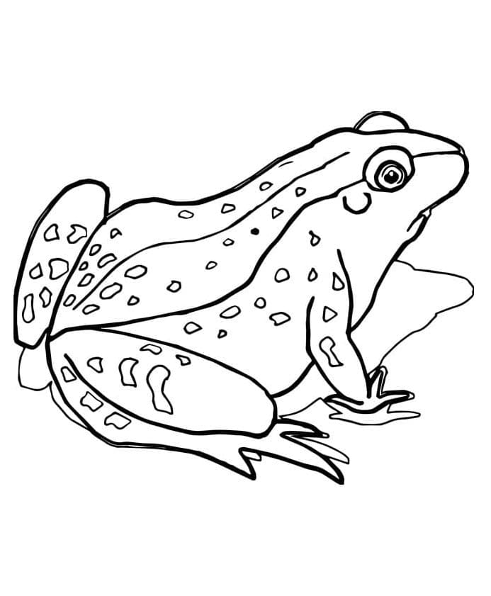 Velmi Jednoduchá Žába omalovánka