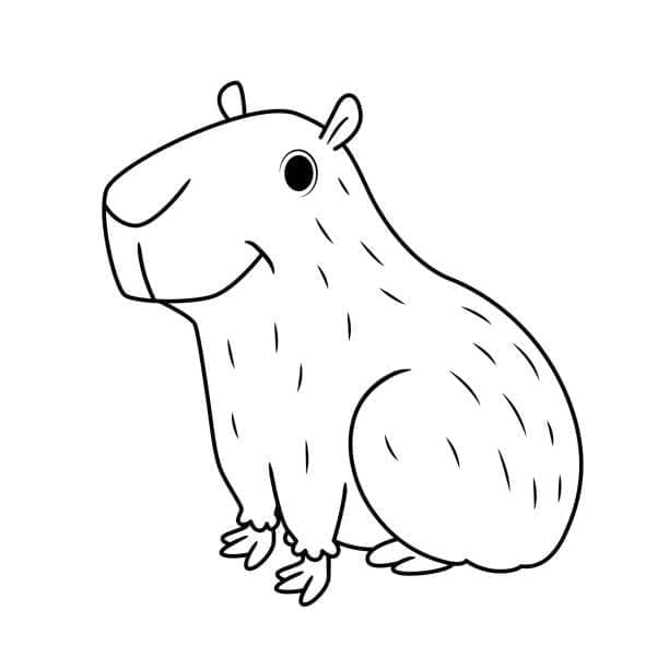Velmi Snadný Kapybara omalovánka
