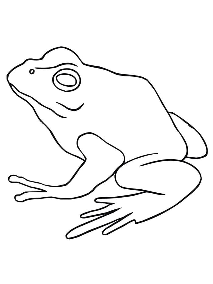 Žába pro 3leté Děti omalovánka