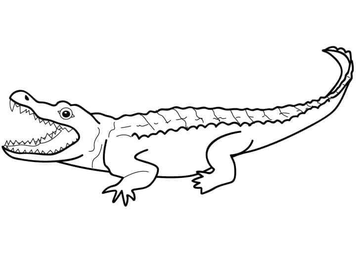 Zábavný Krokodýl omalovánka