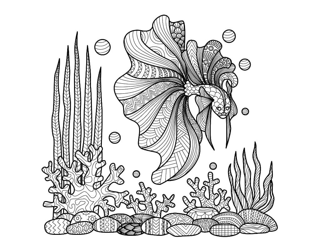 Základní Zentangle omalovánka