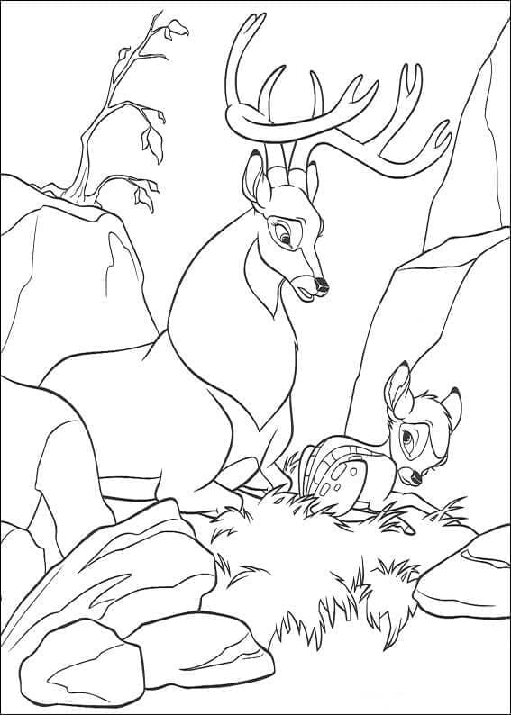Zdarma Bambi omalovánka