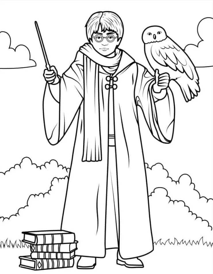 Omalovánky Harry Potter