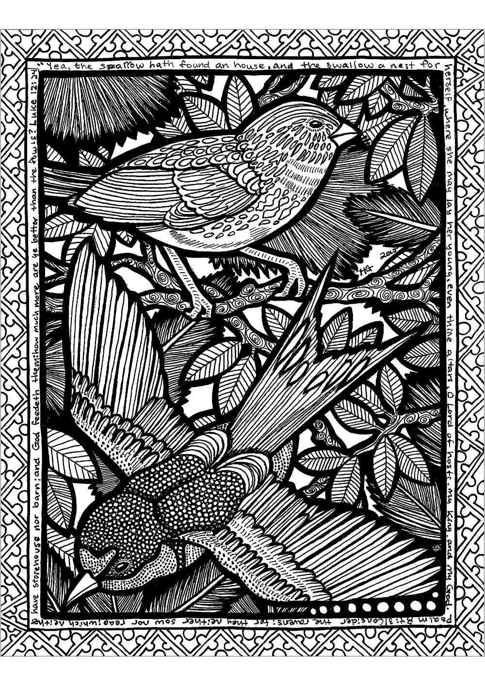Zdarma Zentangle omalovánka