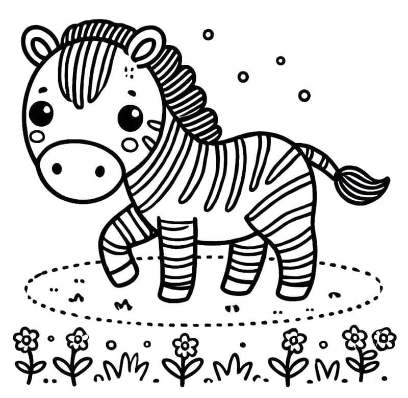 Zebra Zdarma Vymalovatelné Obrázek omalovánka