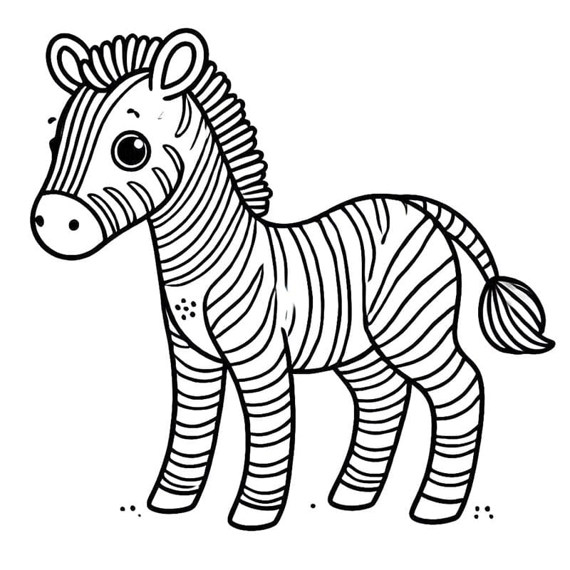 Zebra k Tisku omalovánka