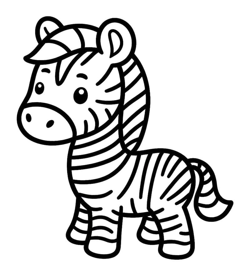 Zebra pro 6leté Děti omalovánka