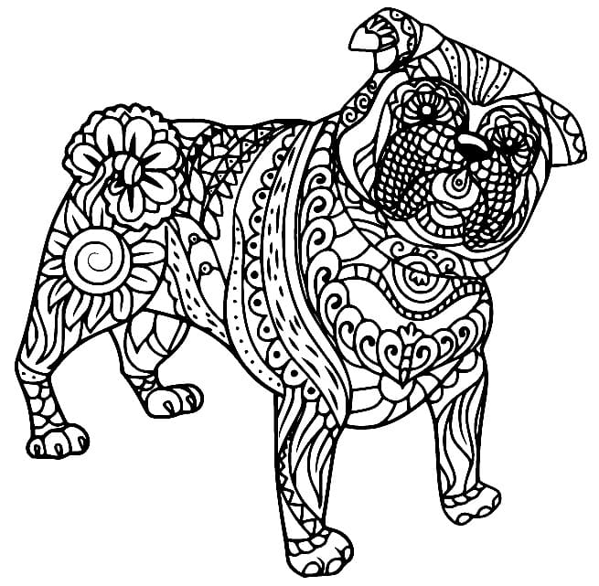 Zentangle (7) omalovánka