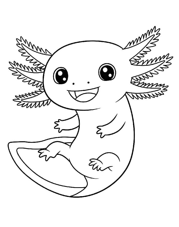 Animovaný Axolotl omalovánka