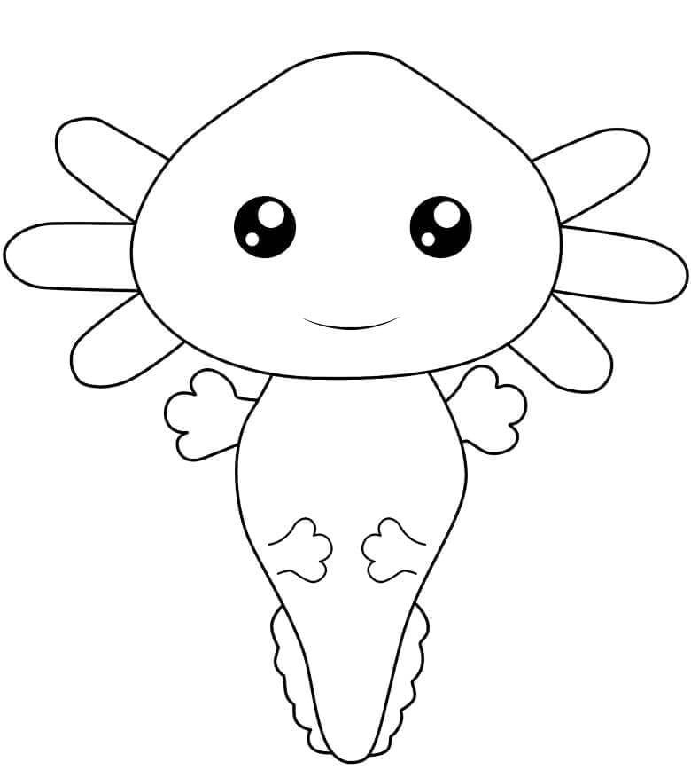 Axolotl Obrázek omalovánka