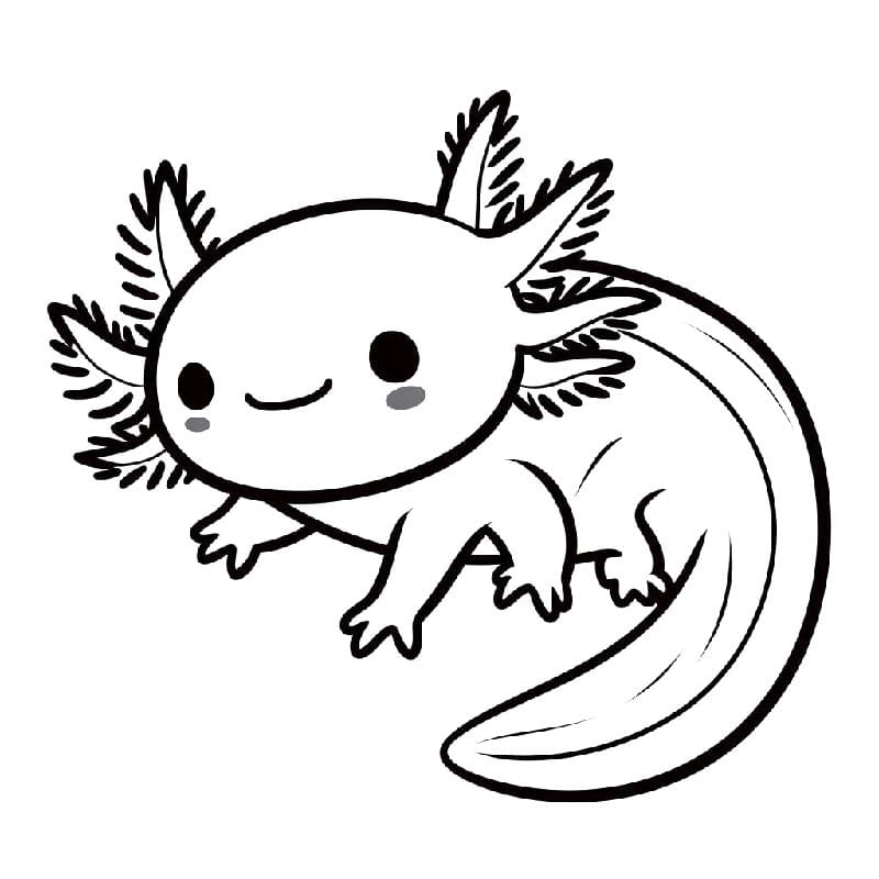 Axolotl Zdarma omalovánka