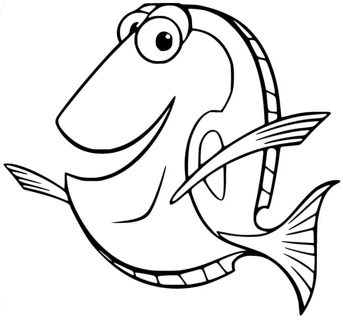 Hledá se Nemo (24) omalovánka