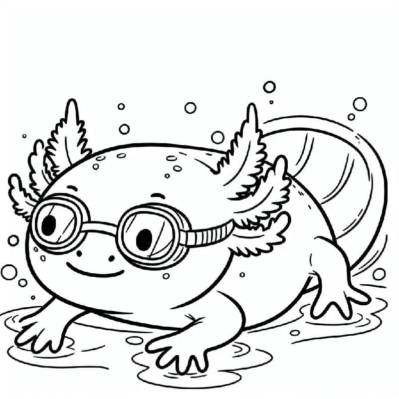 Jednoduchý Axolotl omalovánka