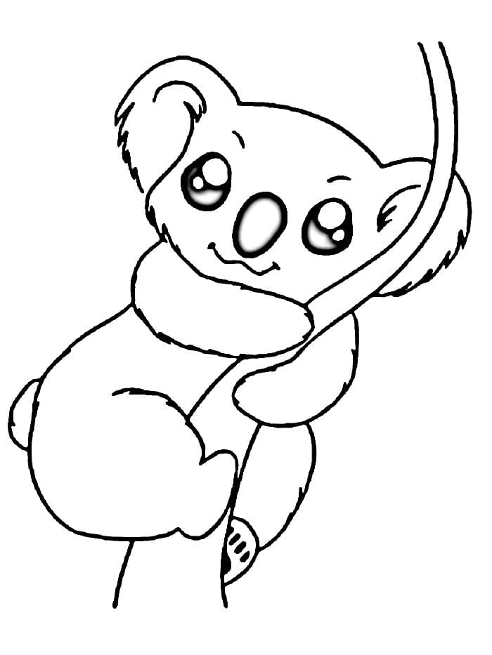 Koala Tisknutelný Zdarma omalovánka