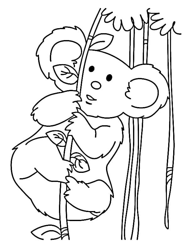 Koala Zdarma Tisknutelný omalovánka