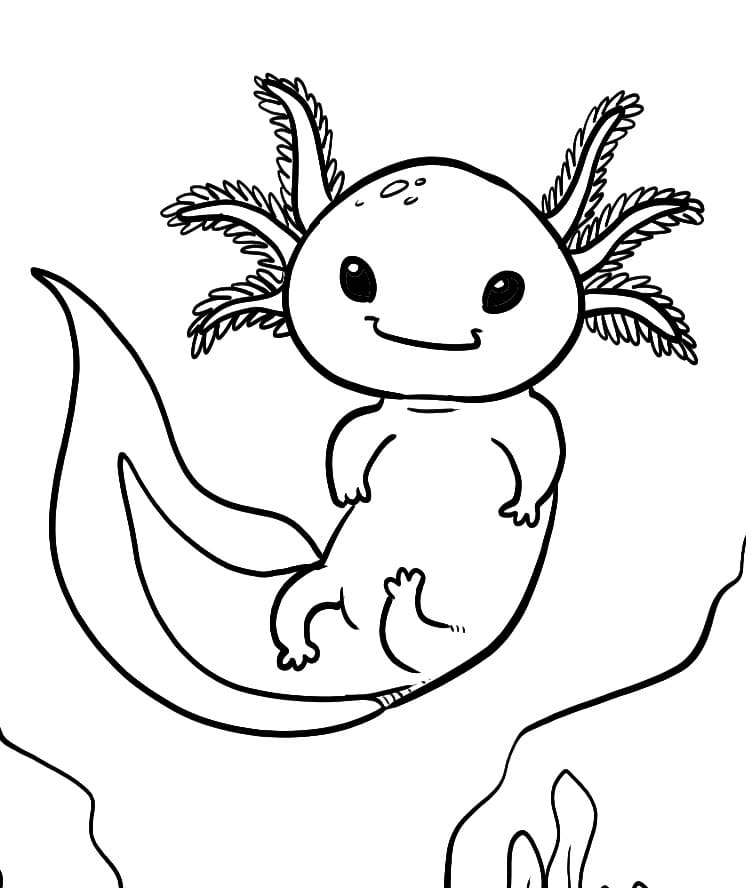Rozkošný Axolotl omalovánka