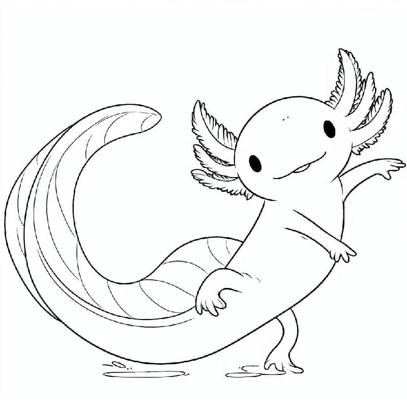 Snadný Axolotl omalovánka
