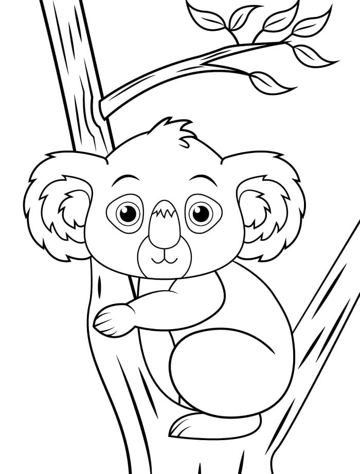 Veselý Koala omalovánka
