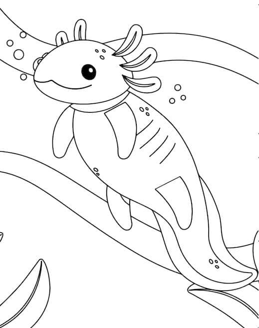 Zdarma Axolotl Obrázek omalovánka