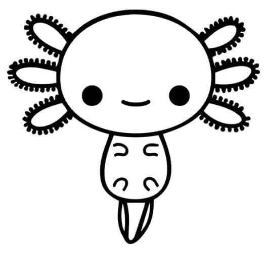 Zdarma Axolotl k Vytisknutí omalovánka