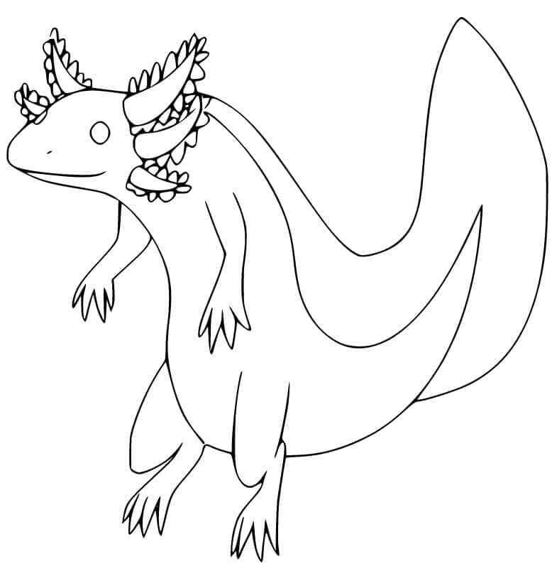 Zdarma Axolotl pro Děti omalovánka