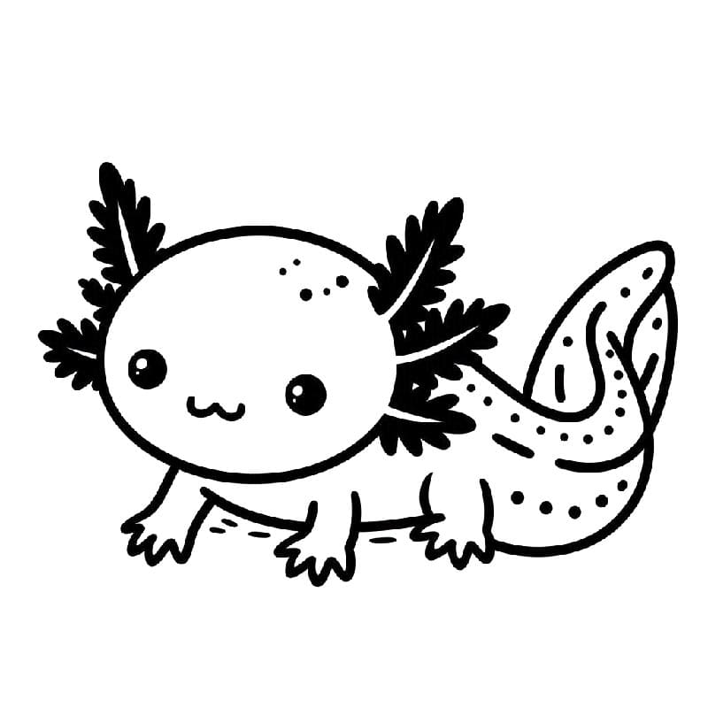 Zdarma Axolotl omalovánka