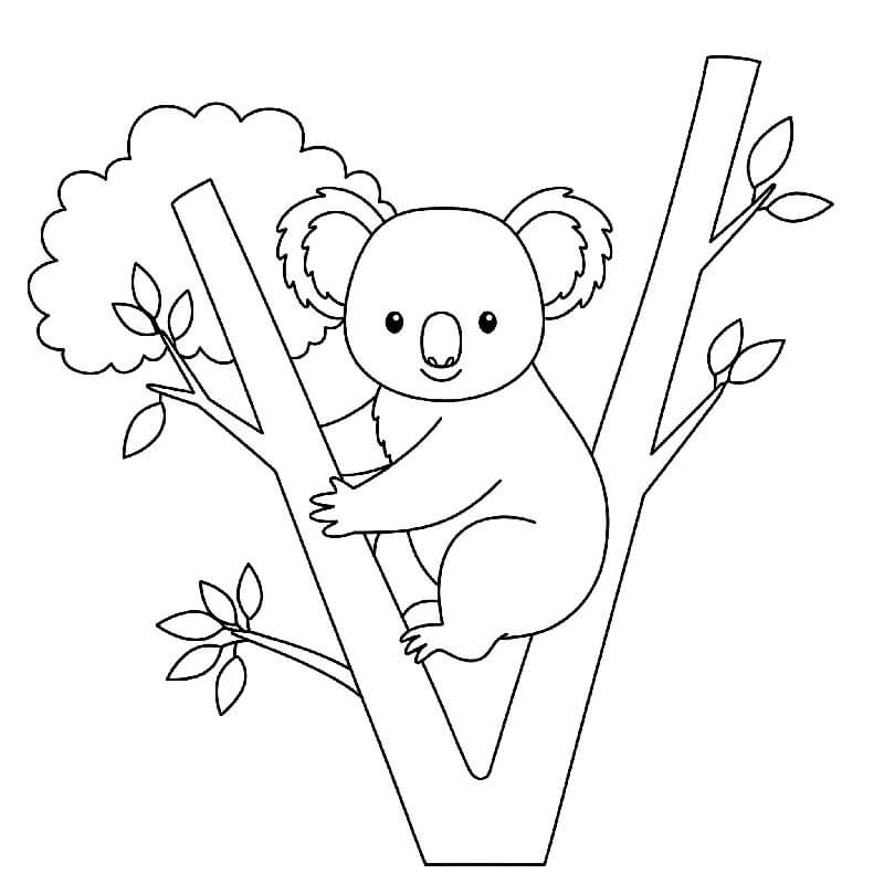 Zdarma Koala Obrázek omalovánka