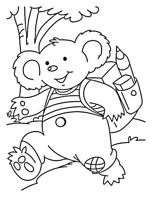 Zdarma Koala omalovánka