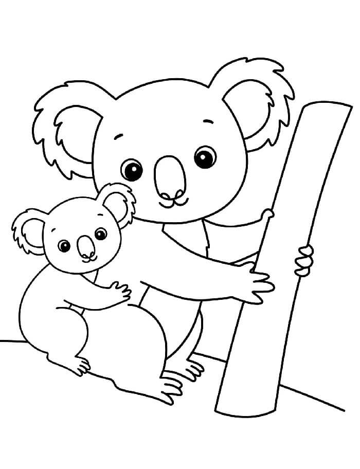 Omalovánky Koala