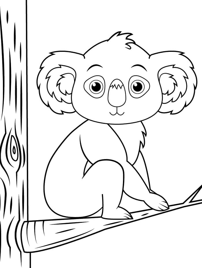 Zdarma Tisknutelný Koala omalovánka