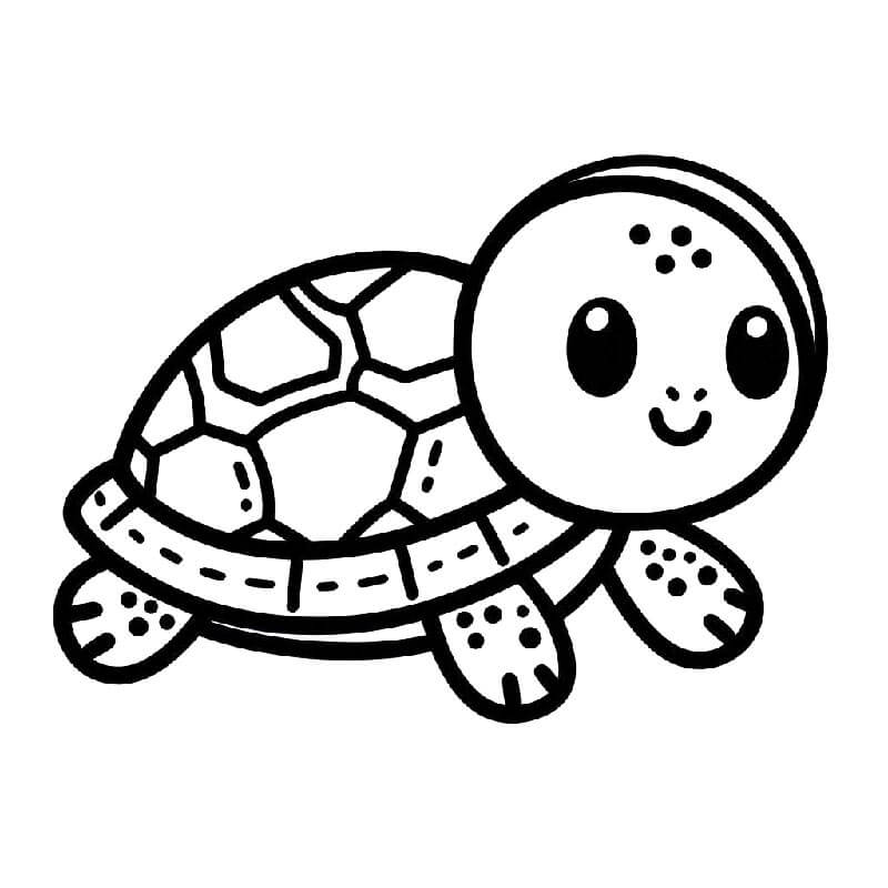 Želva pro 1leté Děti omalovánka