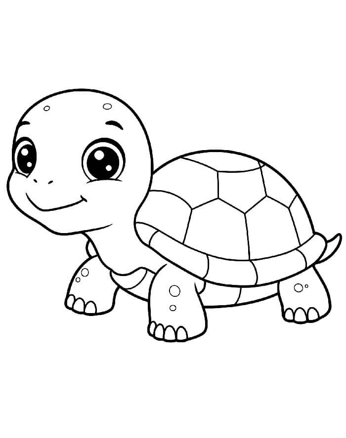 Želva pro Děti omalovánka