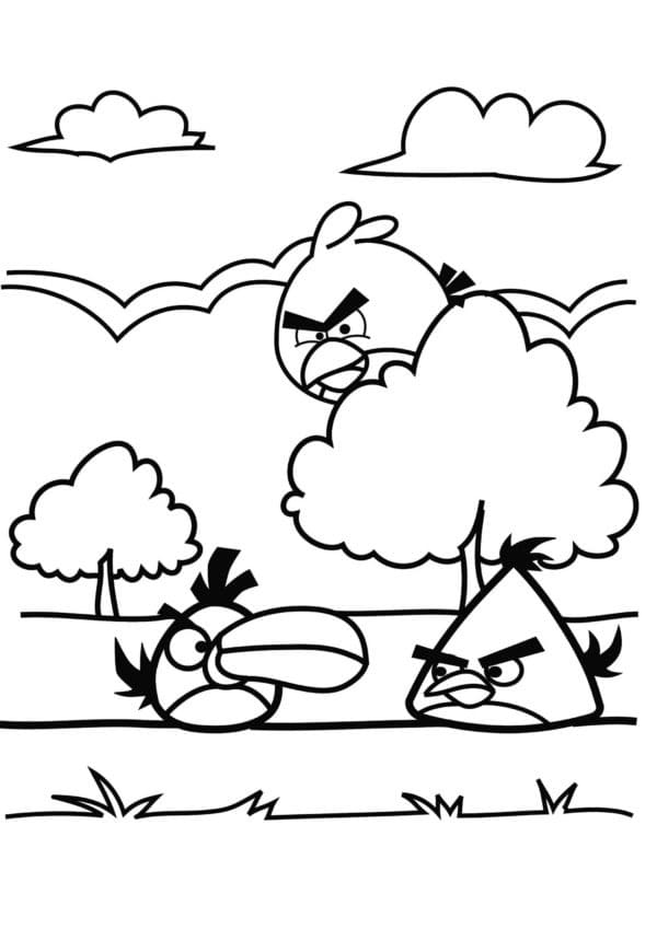 Angry Birds (10) omalovánka