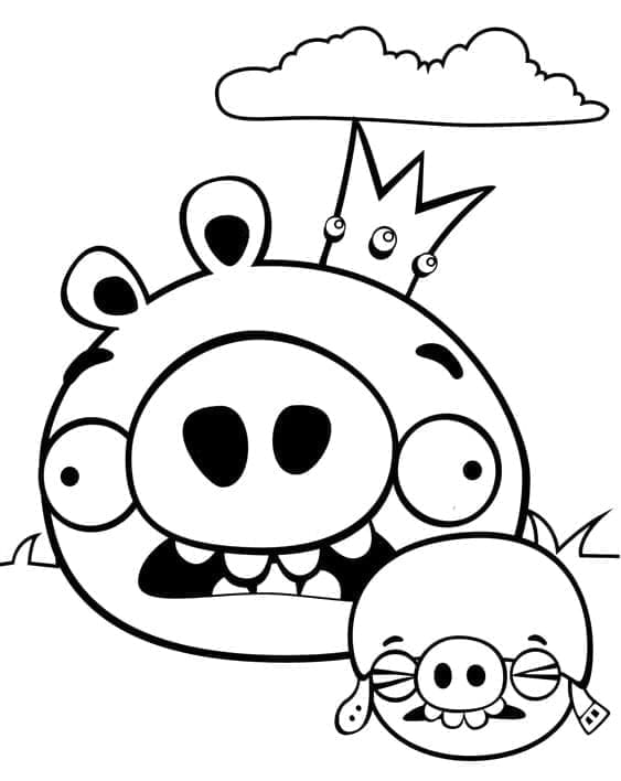 Angry Birds Zdarma pro Děti omalovánka
