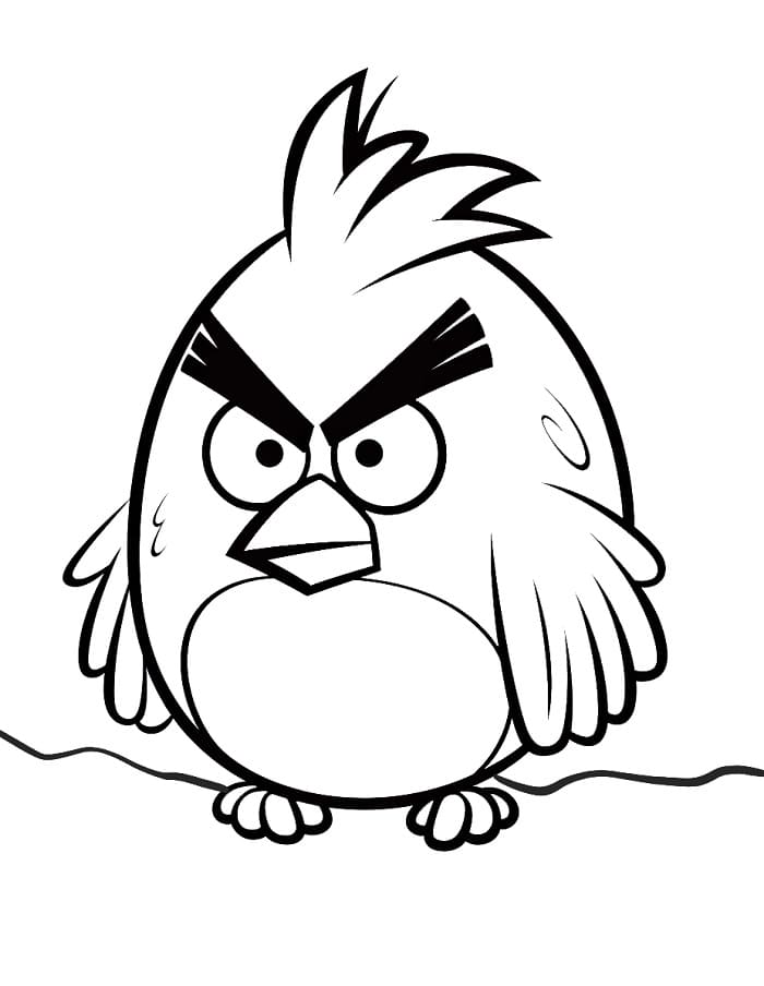 Animované Angry Birds omalovánka