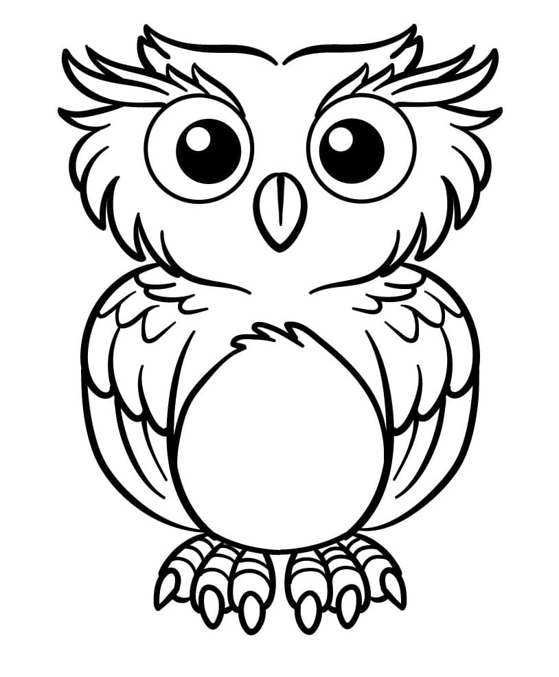 Jedna Krásná Sova omalovánka