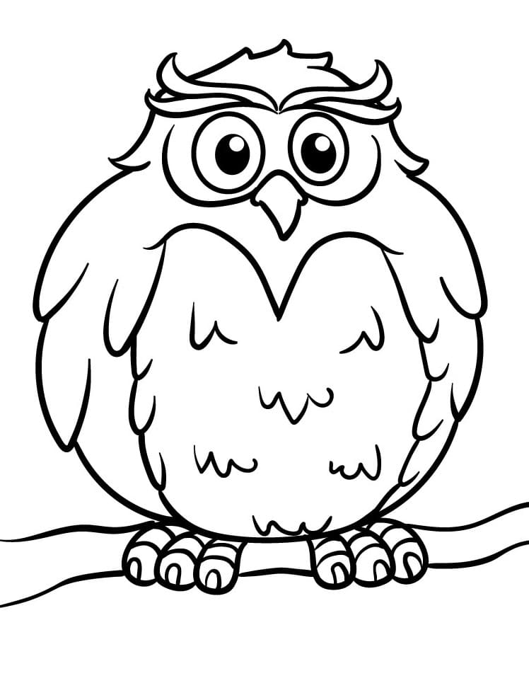 Jedna Sova omalovánka