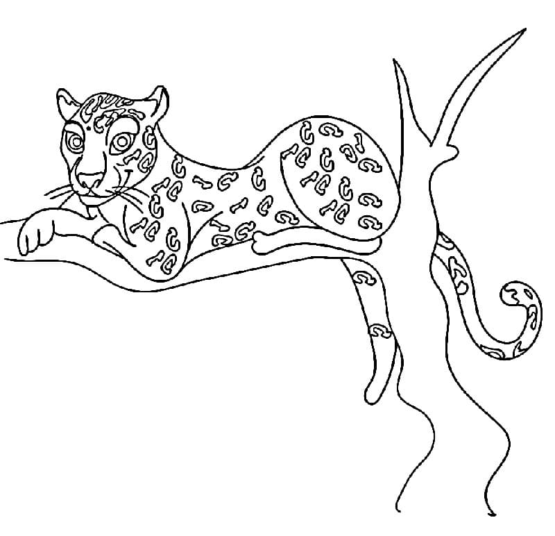 Krásná Gepard omalovánka