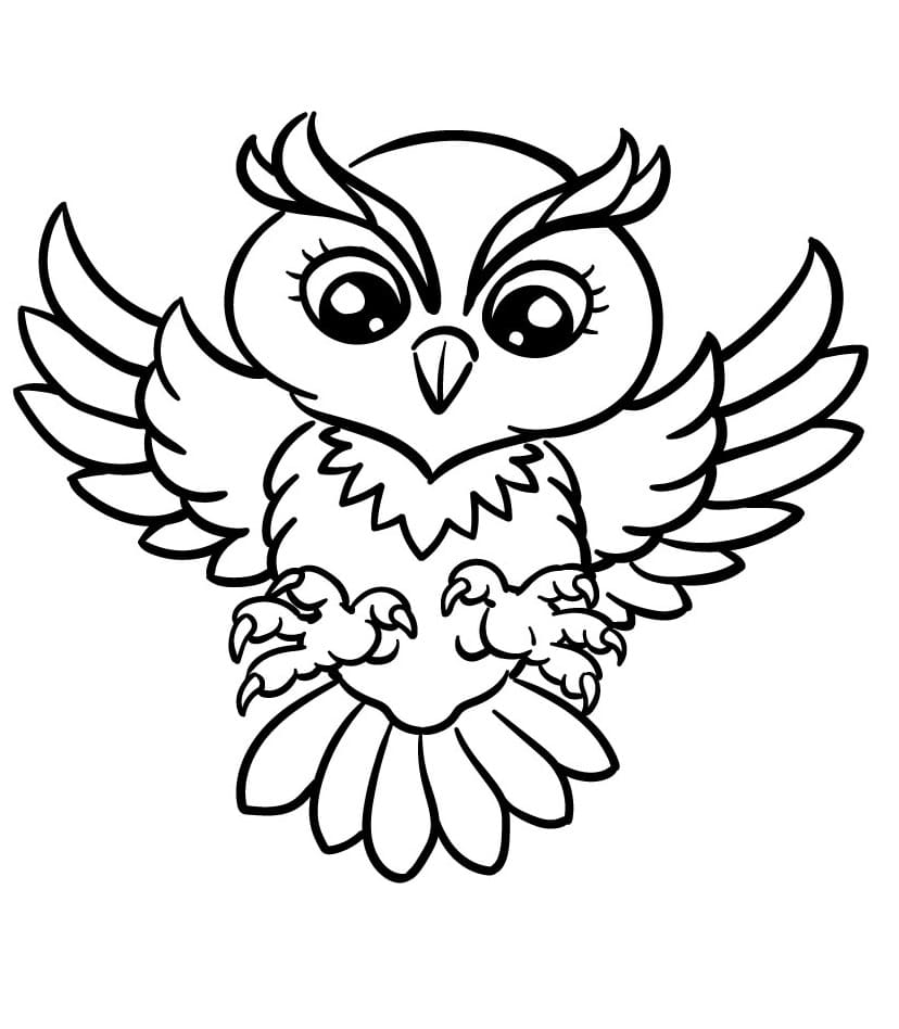 Krásná Sova omalovánka