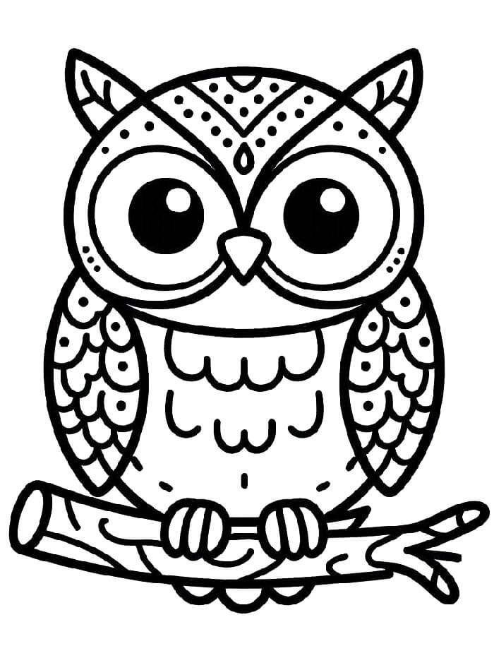 Obrázek Sova omalovánka