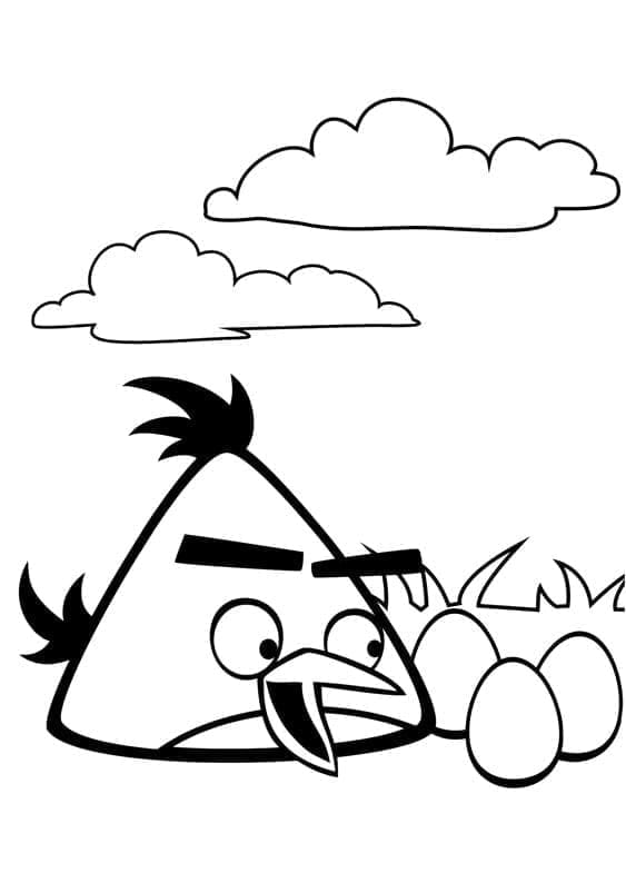 Obrázek Zdarma Angry Birds omalovánka