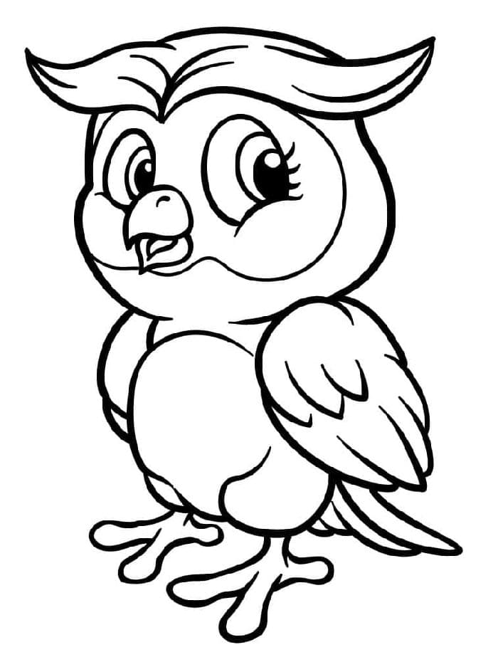 Roztomilá Sova omalovánka
