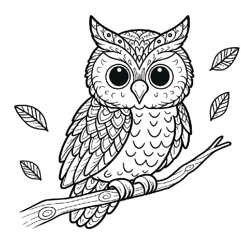 Sova Tisknutelná Bez Poplatku omalovánka