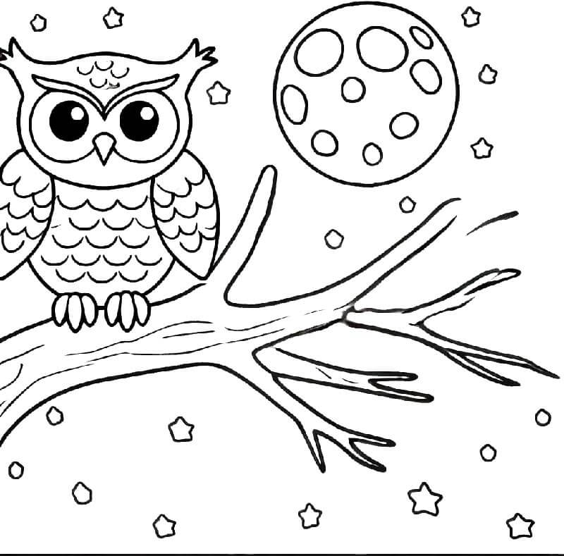 Sova k Tisku omalovánka