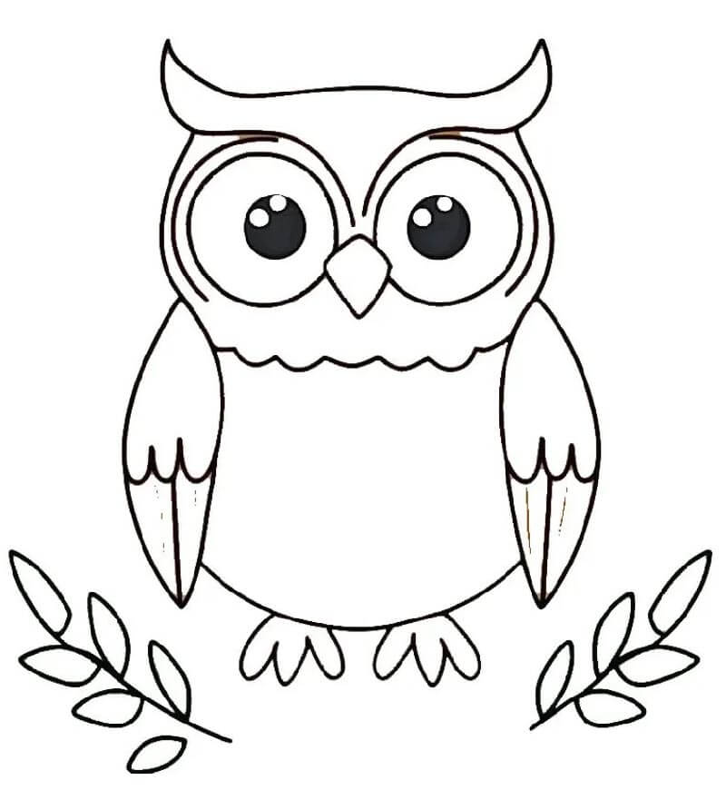 Sova pro 3leté Děti omalovánka