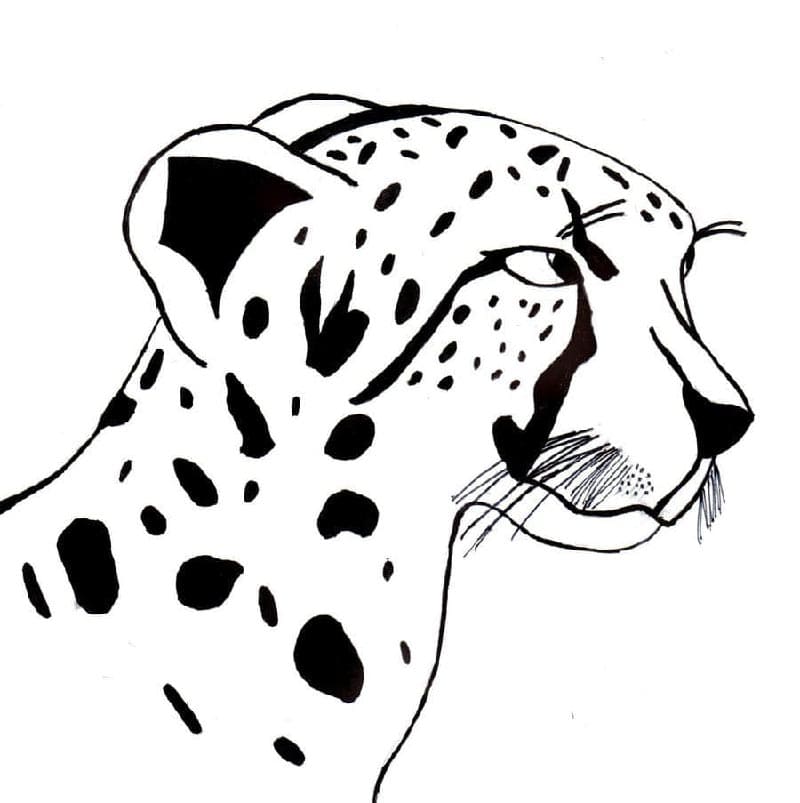 Tisknutelná Gepard omalovánka
